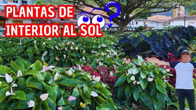 Dise&ntilde;o de Jardines con Plantas Ex&oacute;ticas