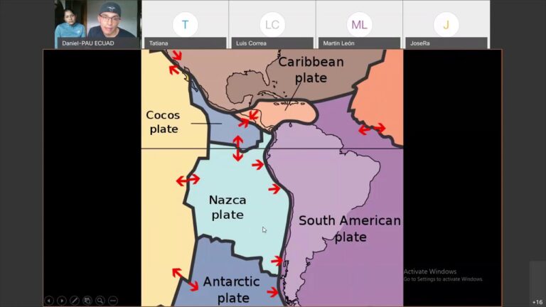 Aves en Islas: Especies Destacadas para la Observaci&oacute;n