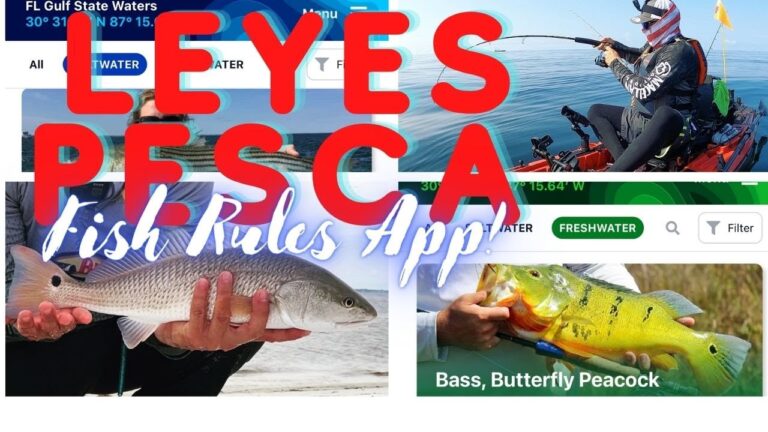 Limitaciones de Tama&ntilde;o en la Pesca Recreativa por Zonas