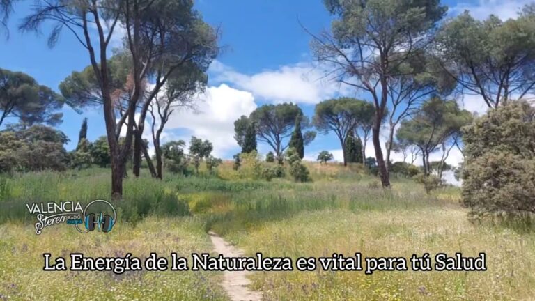 Beneficios del Bienestar F&iacute;sico y Mental en Espacios Verdes para la Relajaci&oacute;n