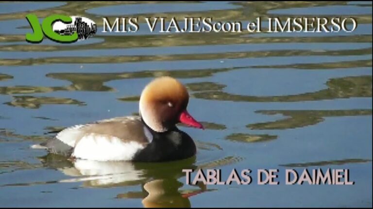 Descubre la Ruta de Aves en Parques Fluviales