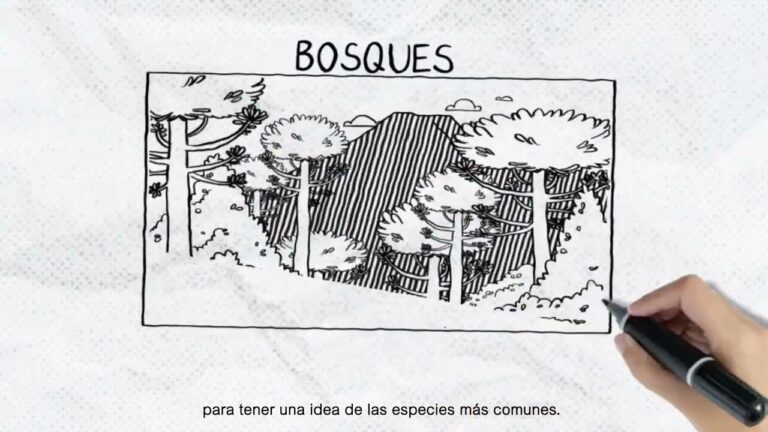 Senderismo en la Biodiversidad de Flora y Fauna