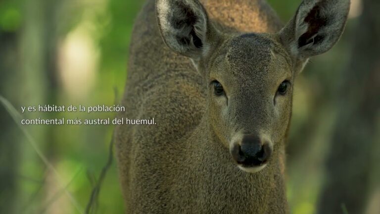 Senderismo en los Parques Nacionales de las Islas Atl&aacute;nticas