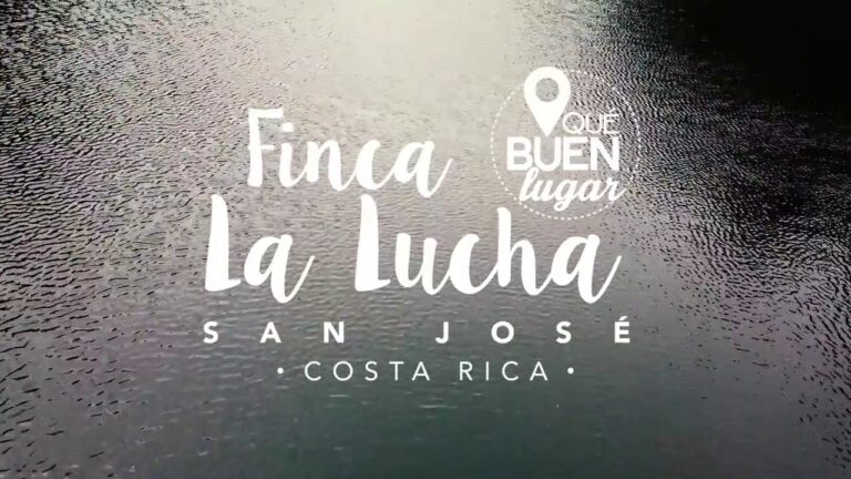 Mejores Lugares para Acampar y Hacer Picnic