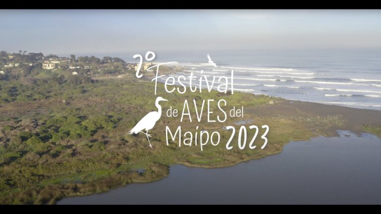 Descubre la Naturaleza: Paseos Guiados de Observación de Aves