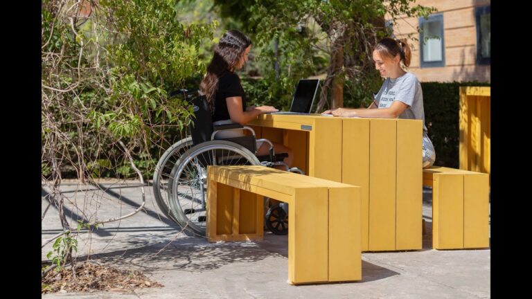 Parques de Recreo para Perros: Espacios Ideales de Socializaci&oacute;n