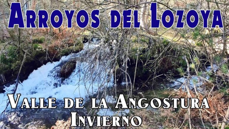 Rutas de Monta&ntilde;a y R&iacute;os Cristalinos: Una Aventura Natural