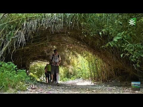 Explorando Rutas de Senderismo en Humedales Protegidos
