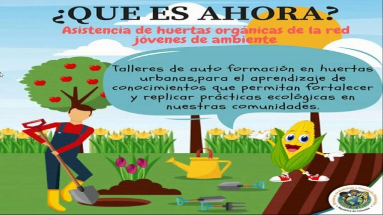 Conexi&oacute;n Natural: Huertos Urbanos y Sostenibilidad