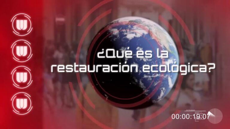 Restauración Ecológica en Espacios Naturales: Estrategias y Beneficios