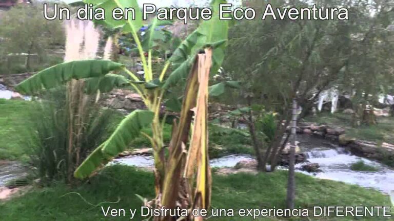 Explora la Naturaleza en Parques Acuáticos