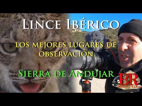 Miradores: Descubre los Mejores Puntos de Observaci&oacute;n Natural