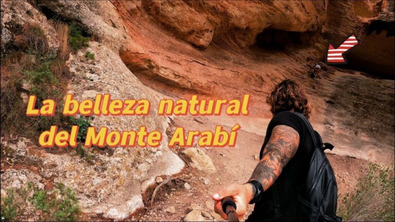 Explorando Aventuras en Senderos Serpenteantes