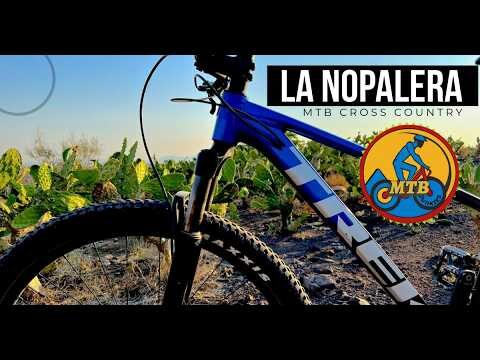 Desafíos en Caminos Empinados: Superando Obstáculos y Adaptaciones