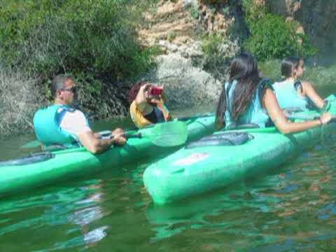 Descubre el Encanto de un Paseo Tranquilo por Parques Fluviales