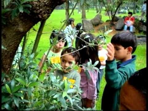Explorando H&aacute;bitats Naturales en Jardines Bot&aacute;nicos