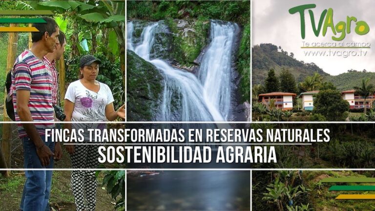 Sostenibilidad Ambiental en Reservas Naturales: Estrategias y Retos