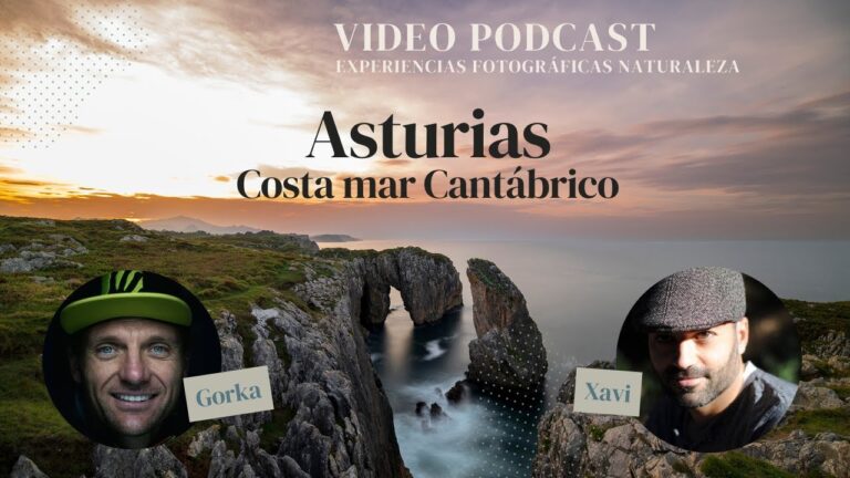 Capturando la Naturaleza: Fotograf&iacute;a en Miradores
