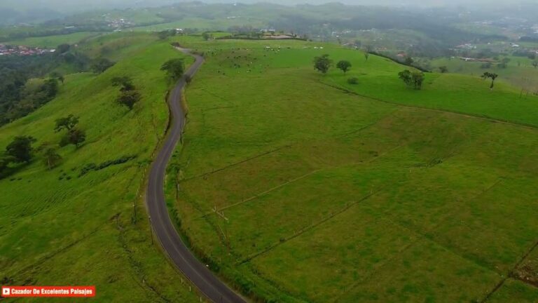Miradores Especiales: Un Viaje a la Belleza Natural
