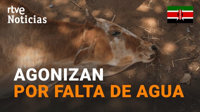 Especies Acuáticas Amenazadas en Embalses