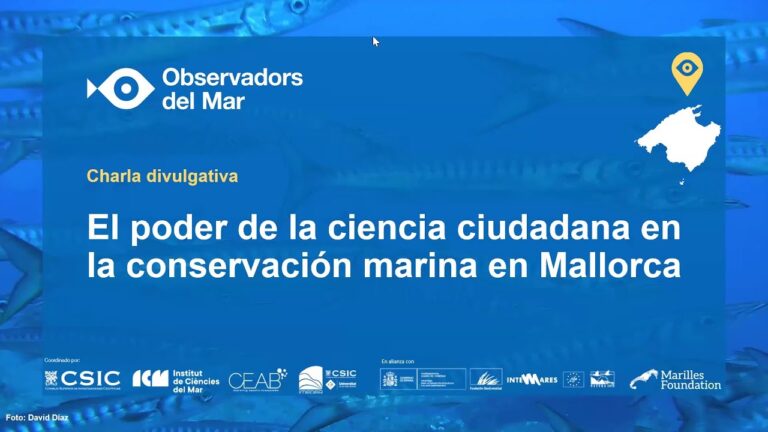 Impacto Positivo de las Reservas Marinas en la Pesca