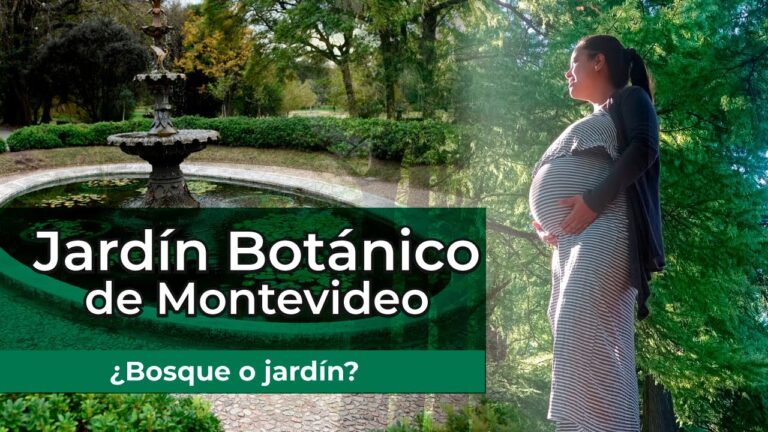 Serenidad en Jardines Bot&aacute;nicos: Un Escape Natural