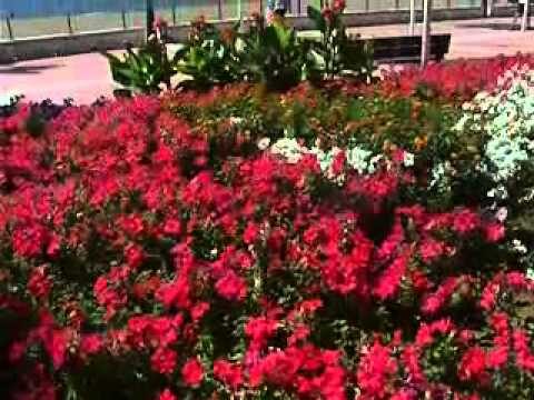 Descubre el Relax en las Zonas Verdes de la Costa