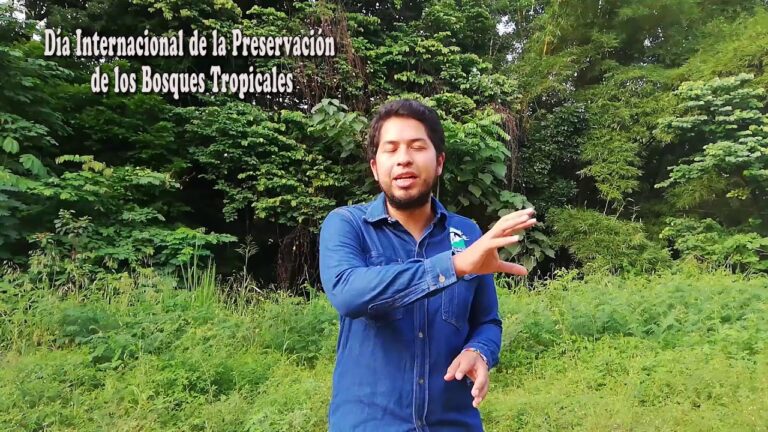 Explorando la Flora y Fauna Urbana