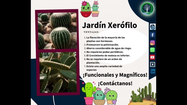 Ventajas de Tener un Jardín Privado