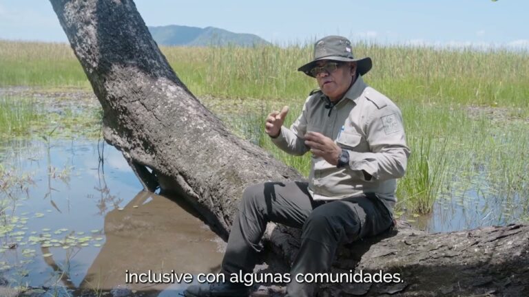 Humedales: Puntos Clave para la Observaci&oacute;n de Aves