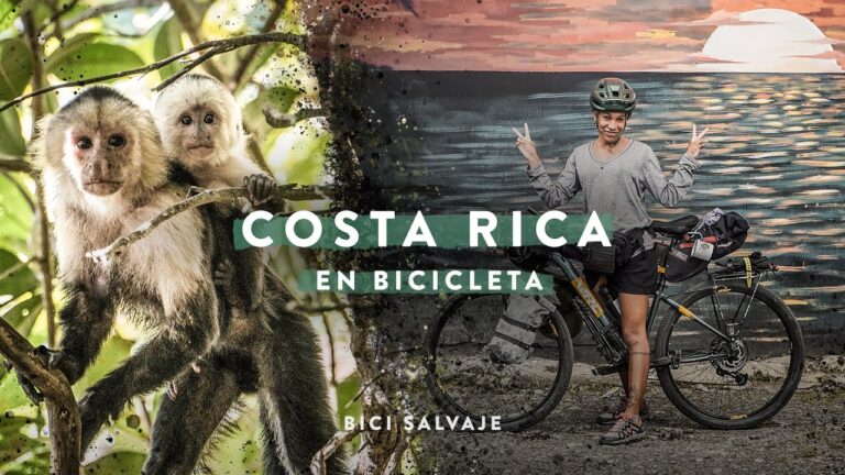 Exploraciones Bici: Descubriendo Paisajes Naturales