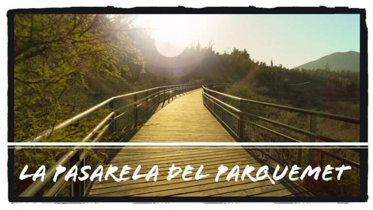 Explorando paisajes verdes por puentes peatonales en rutas ciclistas