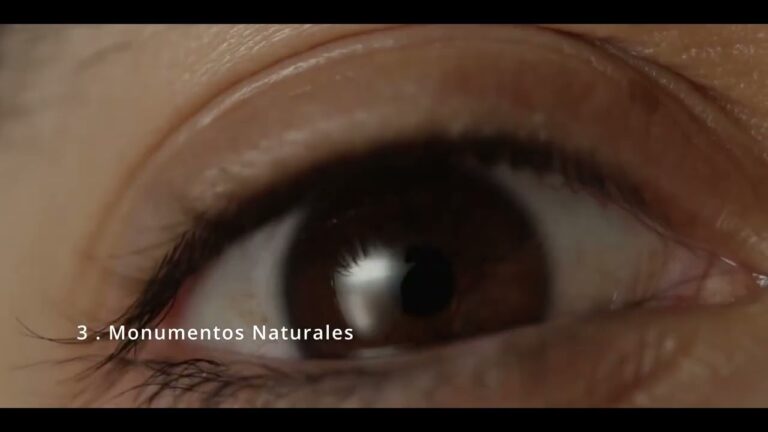 Santuarios Naturales Protegidos: Un Viaje de Exploraci&oacute;n