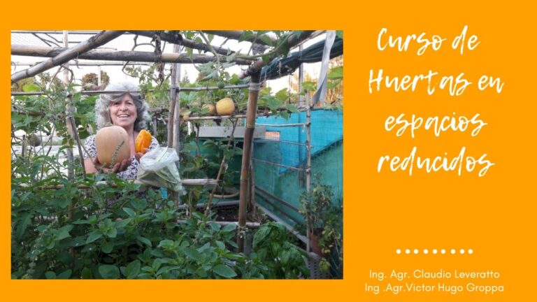 Beneficios de las Huertas Urbanas en Espacios Verdes