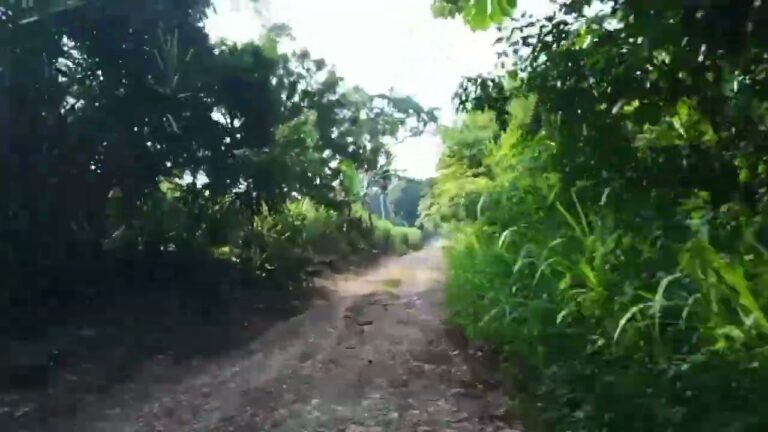 Rutas de Bicicleta: Explorando la Naturaleza