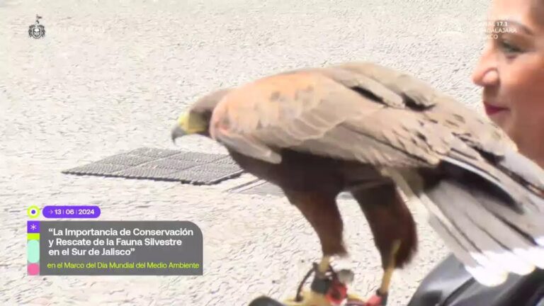 Rescate de Fauna: Clave para la Conservación de la Biodiversidad