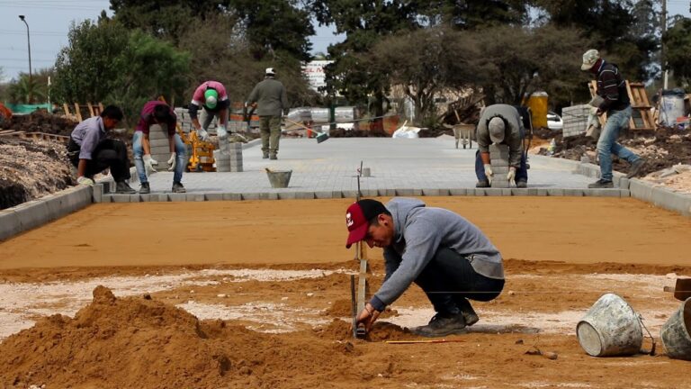 Caminos Seguros en Puentes Peatonales de Parques
