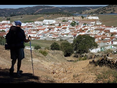 Senderismo en Bosques y Montes: Explorando la Belleza Natural