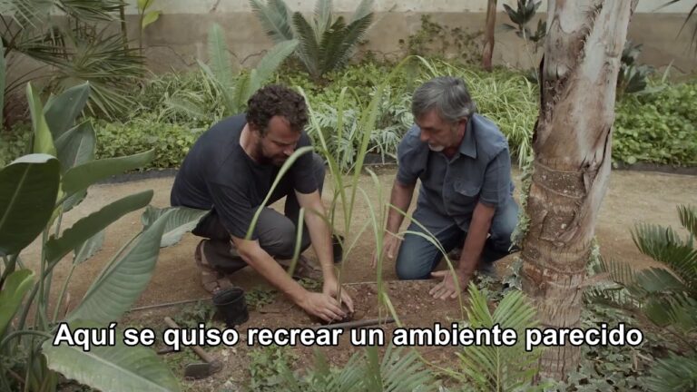 Vivir la Historia en Jardines Hist&oacute;ricos