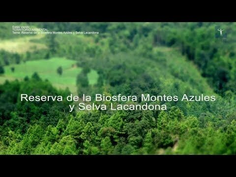 Conservaci&oacute;n de la Diversidad Biol&oacute;gica en Montes P&uacute;blicos