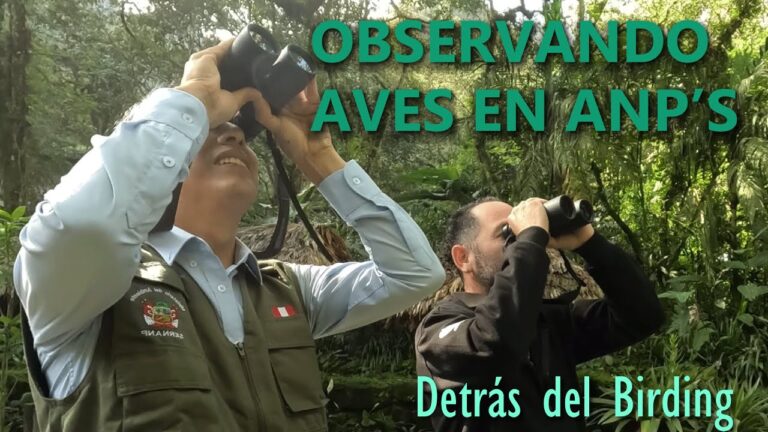 Gu&iacute;a de Rutas para la Observaci&oacute;n de Aves en &Aacute;reas Silvestres