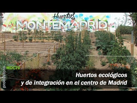 Integraci&oacute;n de Huertos en la Agroecolog&iacute;a Urbana: Hacia Ciudades Sostenibles