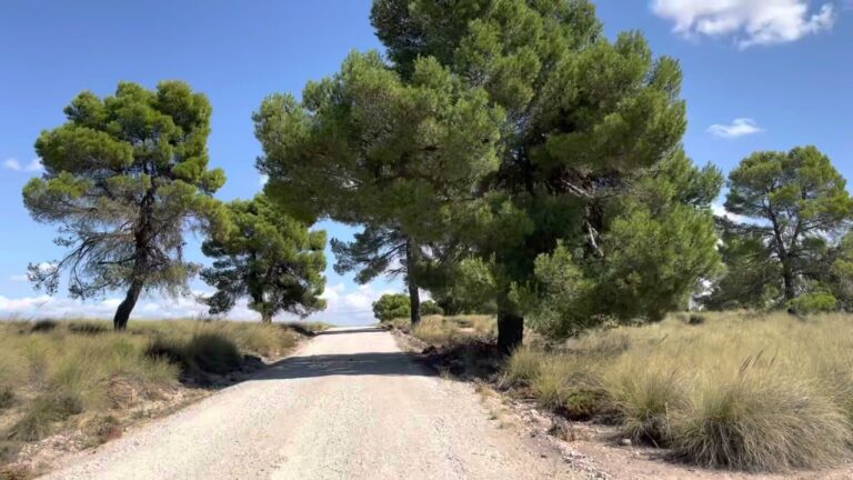 Explorando Actividades al Aire Libre en V&iacute;as Verdes