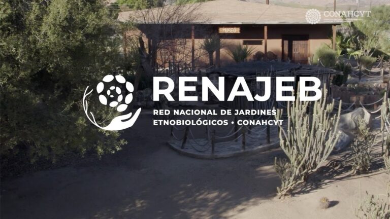 Innovaci&oacute;n Ecol&oacute;gica en Jardines Privados: Transformando Espacios Verdes