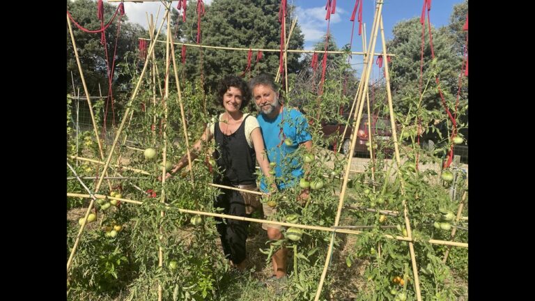 Conexi&oacute;n Natural en Jardines y Huertos Urbanos