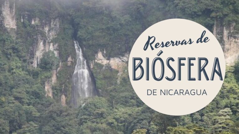 Belleza Natural en las Reservas de la Biosfera