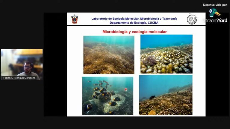 La Diversidad de Especies en Arrecifes de Coral