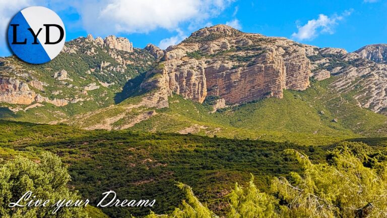 Senderos Naturales: Un Refugio de Tranquilidad