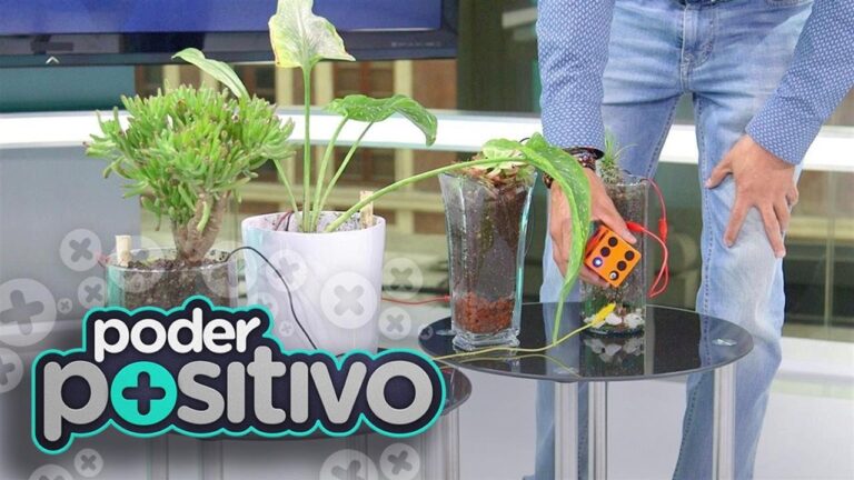 Revitalizaci&oacute;n Energ&eacute;tica en Espacios Verdes al Aire Libre