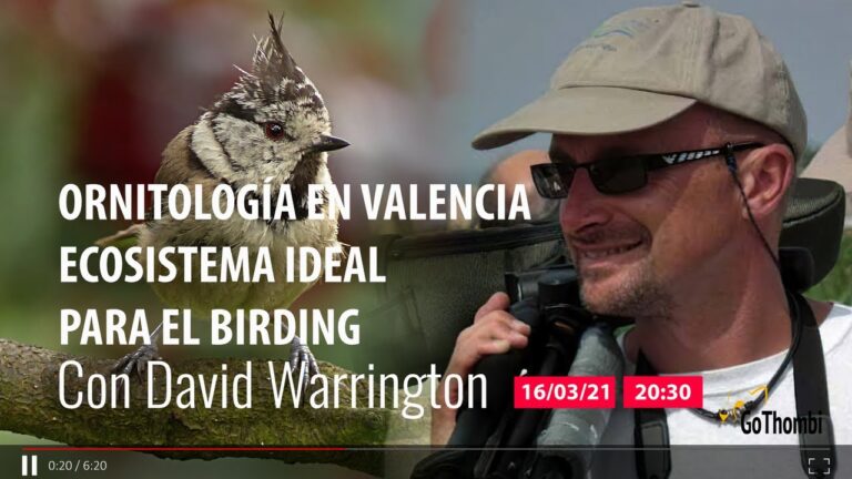 Ecosistemas Costeros: Para&iacute;so para la Observaci&oacute;n de Aves